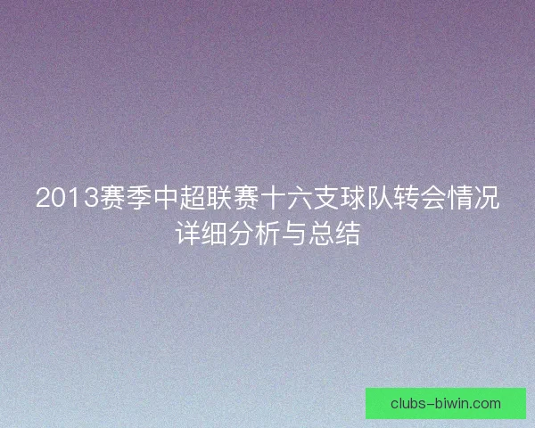 2013赛季中超联赛十六支球队转会情况详细分析与总结