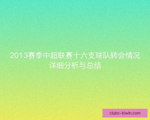 2013赛季中超联赛十六支球队转会情况详细分析与总结