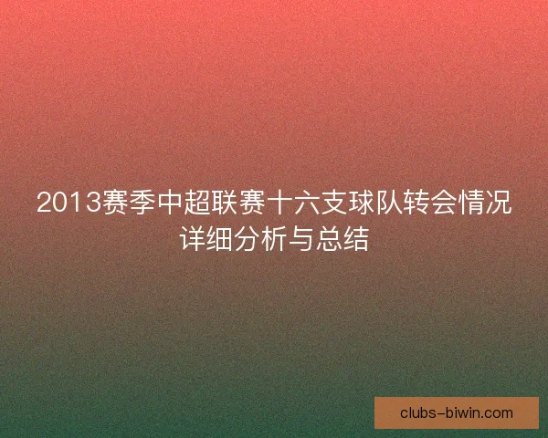 2013赛季中超联赛十六支球队转会情况详细分析与总结