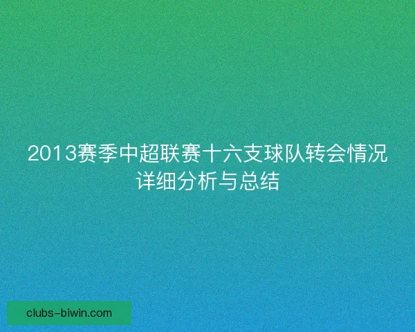2013赛季中超联赛十六支球队转会情况详细分析与总结
